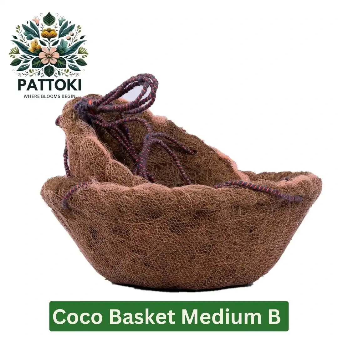 Create Garden Magic: Medium B Coco Basket - Natural Beauty for Just PKR 198.00!